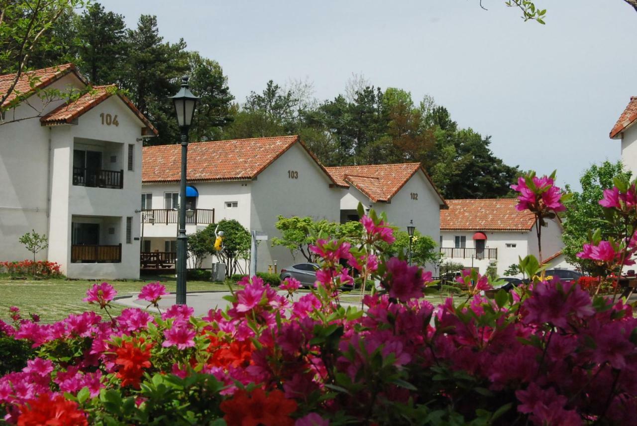 Meta Pension, Тамян Экстерьер фото