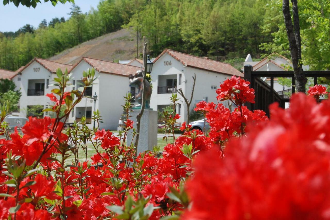 Meta Pension, Тамян Экстерьер фото